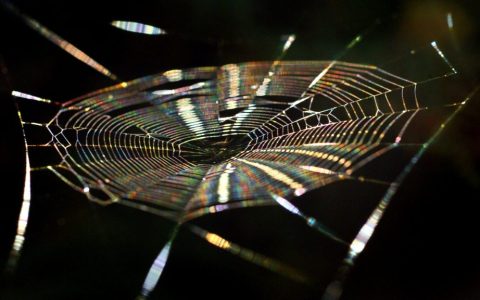 科研成果管理系統（科研成果管理系統論文）