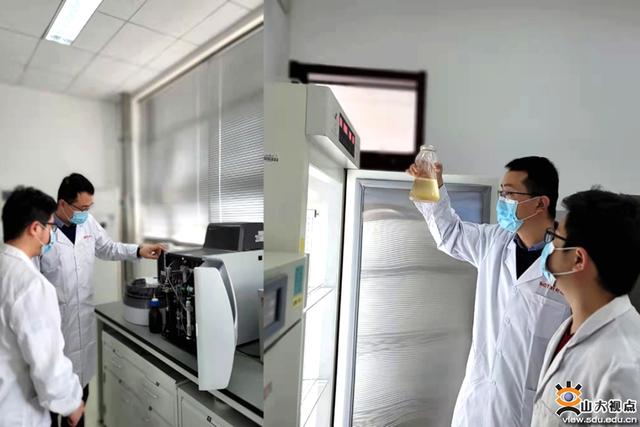大學生科研項目分工怎么寫（大學生科研項目分工有哪些）