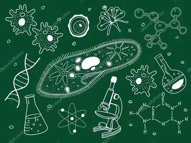 科研專業有哪些（關于科研的專業有哪些）