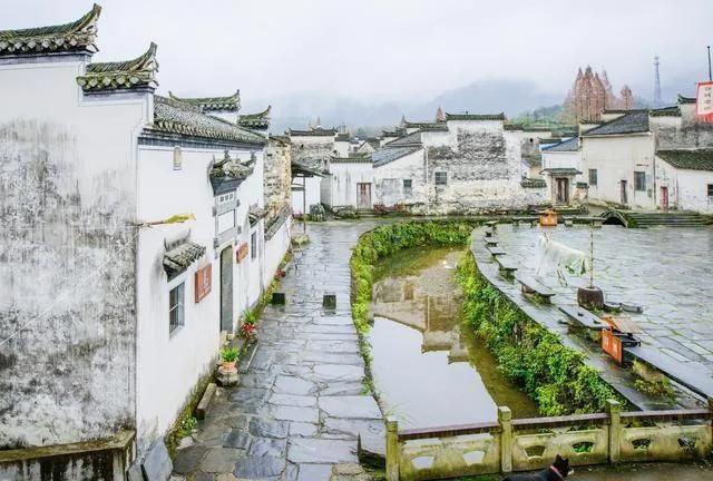 匯總！2022年教育科研等項目，包含安徽廣東山東等省工50個項目