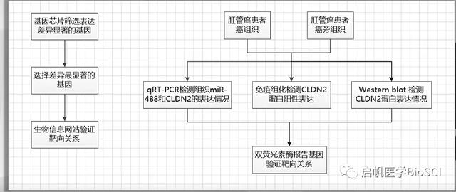 生物醫學實驗方案設計大全，讓你課題脫穎而出（生物實驗設計專題）