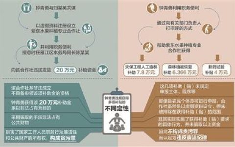 三堂會審｜同是違規獲得補貼為何定性不同從四川省資陽市雁江區委原副書記鐘青勇案說起