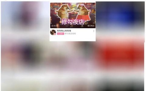 B站的“修勾夜店”直播把無數網友給吸引住了