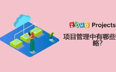 項目管理中有哪些執行策略？（項目執行策略包含什么）