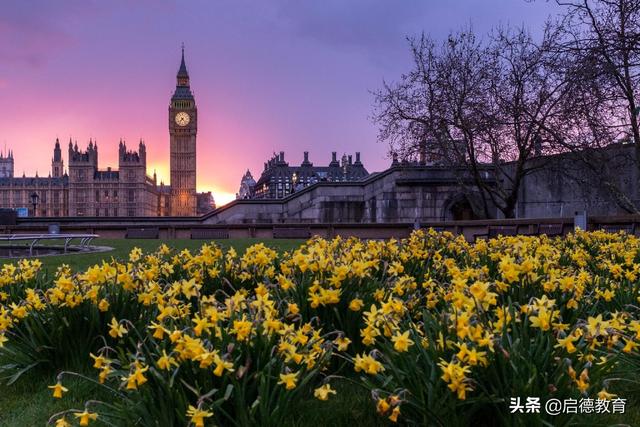 英國留學：信息管理與信息系統專業分為商科與工科兩大方向（英語專業留學商科）