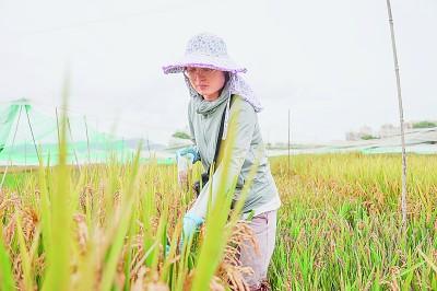 科研經(jīng)費(fèi)管理改革這十年：為人才助力，為創(chuàng)新加速（科研經(jīng)費(fèi)管理新政策）
