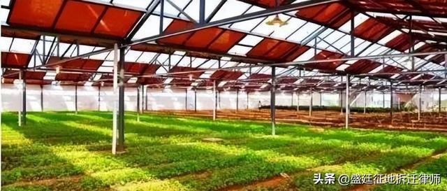 建設光伏發電站，占地要求有哪些？（建設光伏發電站的條件）