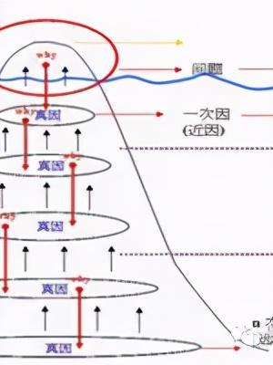 「精益學(xué)堂」5S管理｜整合版（精益5s管理書(shū)籍）