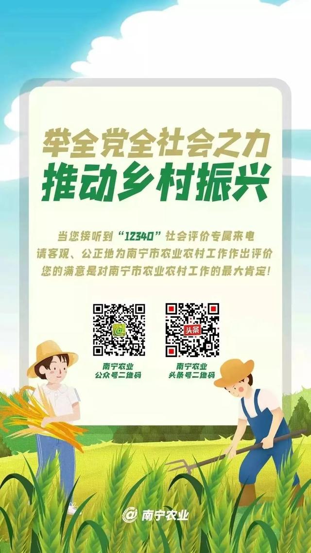 緊急重要丨南寧市2022年市本級財政投資鄉村振興農業全產業鏈提升項目申報開始！