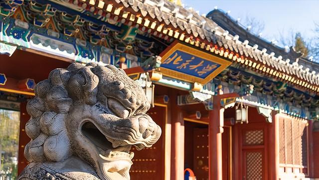 本科專業就業前50強，薪資較高的15個職業盤點，互聯網類較多（本科就業前50名專業）