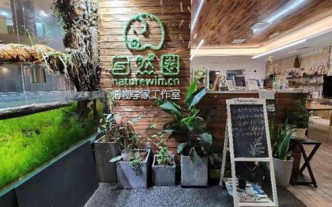 門店管理APP，讓門店實現(xiàn)“輕管理，重高效”（門店管理APP）