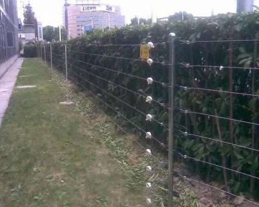 電子圍欄的系統工作原理及安裝注意事項（電子圍欄的系統工作原理及安裝注意事項有哪些）