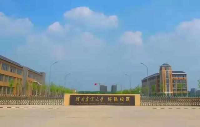 @小21，返校攻略，看這一篇就夠了（返校攻略第一章）