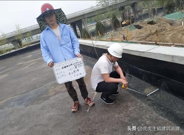 監理工作如何開展？（監理工作如何開展）