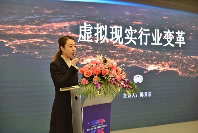 019中國（溫州瑞安）虛擬現實產業發展論壇（溫州瑞安一體化2020）"