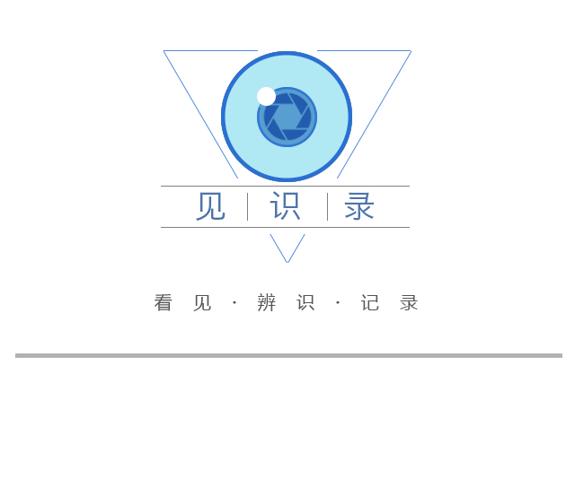 雙向6車道，全長1.6公里，楊高中路改建雙“人”字形高架跨線橋主線通車